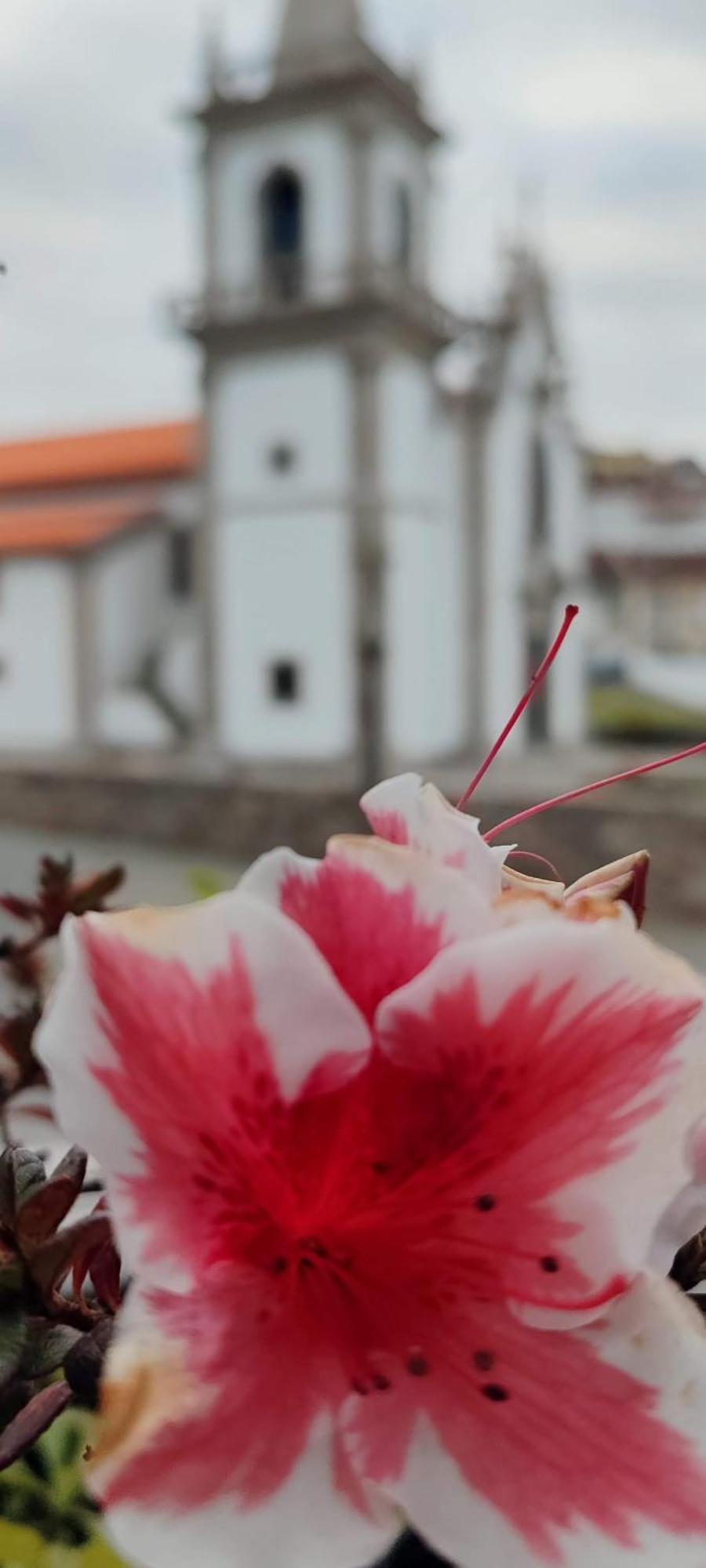 Donna Nega Alojamento Local Caminha Exterior photo